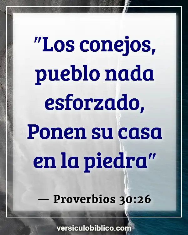 Versículos De La Biblia sobre Conejos (Proverbios 30:26)