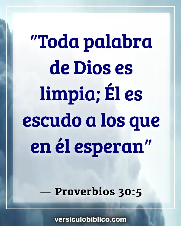 Versículos De La Biblia sobre Paz (Proverbios 30:5)