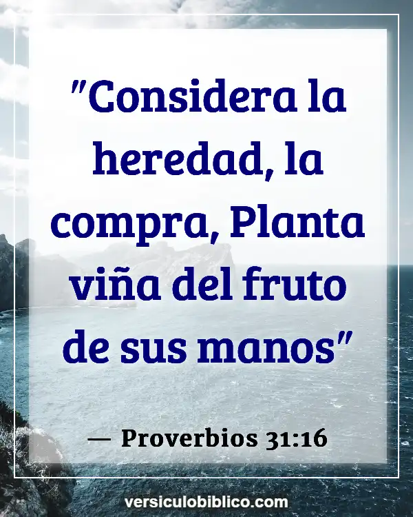 Versículos De La Biblia sobre Inversión (Proverbios 31:16)