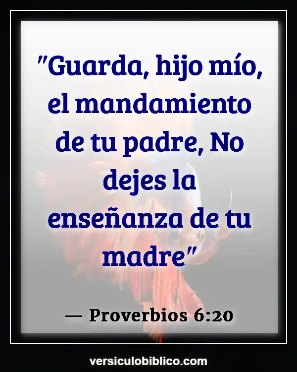 Versículos De La Biblia sobre Instrucción (Proverbios 6:20)