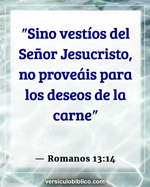 Versículos De La Biblia sobre Personalidad (Romanos 13:14)