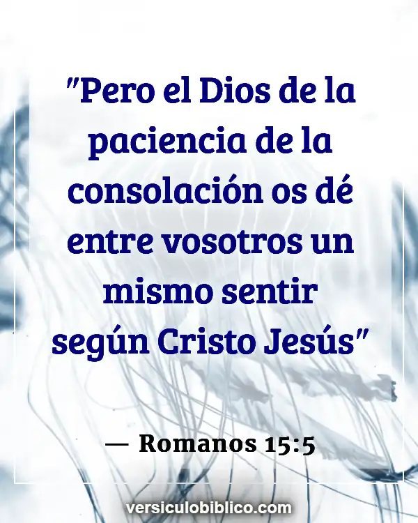 Versículos De La Biblia sobre Unión con cristo (Romanos 15:5)