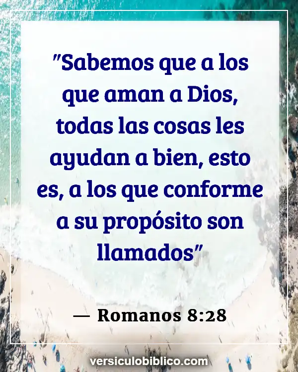 Versículos De La Biblia sobre Instrucción (Romanos 8:28)