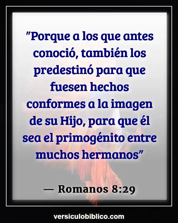 Versículos De La Biblia sobre Intimidad con Dios (Romanos 8:29)