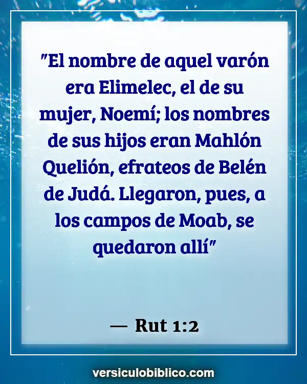 Versículos De La Biblia sobre Intromisión (Rut 1:2)