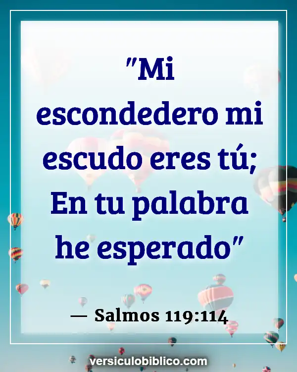 Versículos De La Biblia sobre Esperanza y fe (Salmos 119:114)