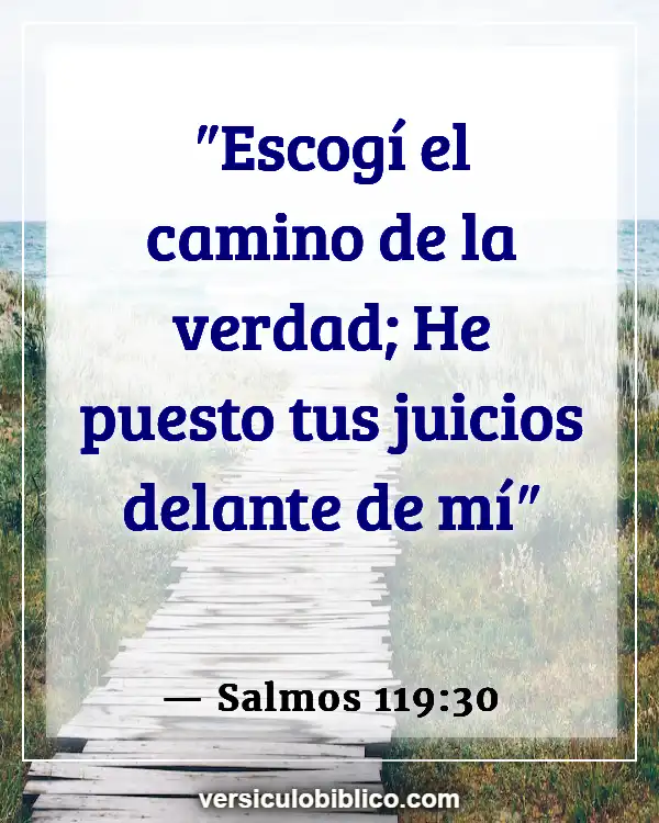 Versículos De La Biblia sobre Esperanza y fe (Salmos 119:30)