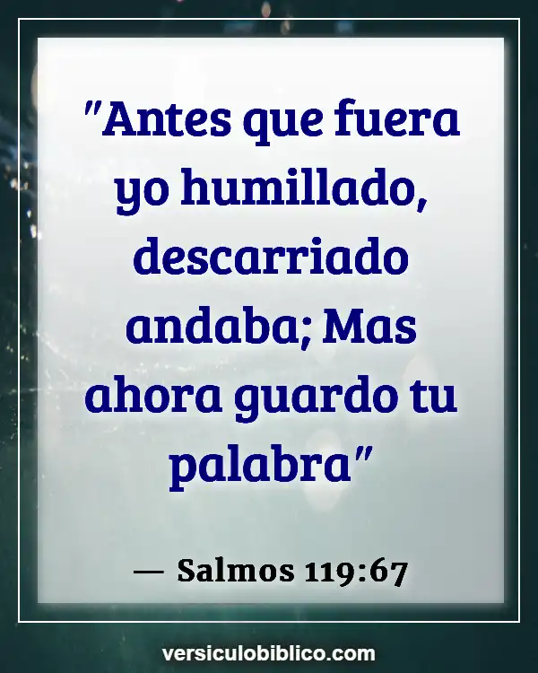 Versículos De La Biblia sobre Dolor y sufrimiento (Salmos 119:67)