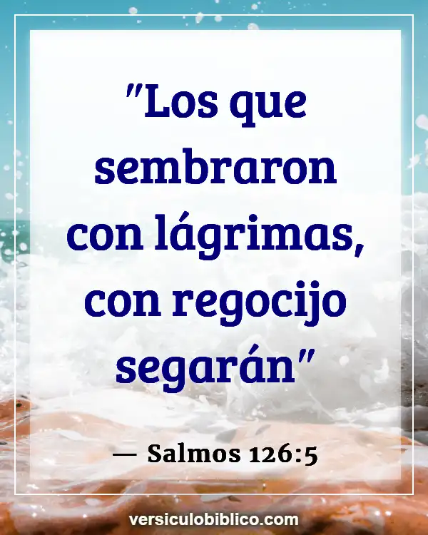 Versículos De La Biblia sobre Cosechando lo que siembras (Salmos 126:5)