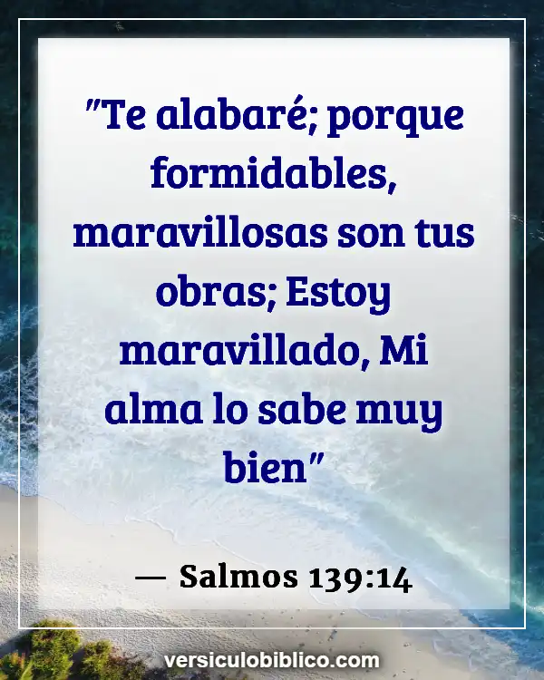 Versículos De La Biblia sobre Apariencia física (Salmos 139:14)