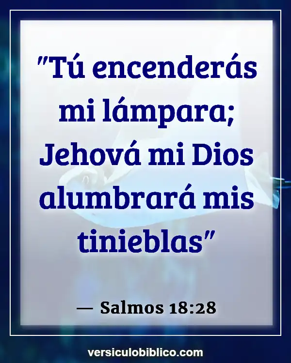 Versículos De La Biblia sobre Ser una luz (Salmos 18:28)