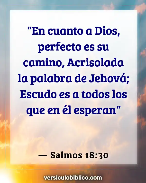 Versículos De La Biblia sobre Perfeccionismo (Salmos 18:30)