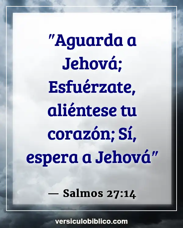 Versículos De La Biblia sobre Quietud (Salmos 27:14)