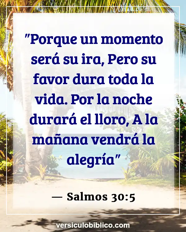 Versículos De La Biblia sobre La pérdida de un ser querido (Salmos 30:5)