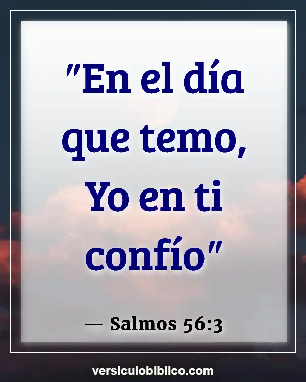 Versículos De La Biblia sobre Recuerdos (Salmos 56:3)