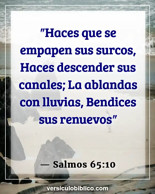 Versículos De La Biblia sobre Agricultura (Salmos 65:10)