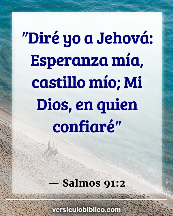 Versículos De La Biblia sobre Dolor y dolor (Salmos 91:2)