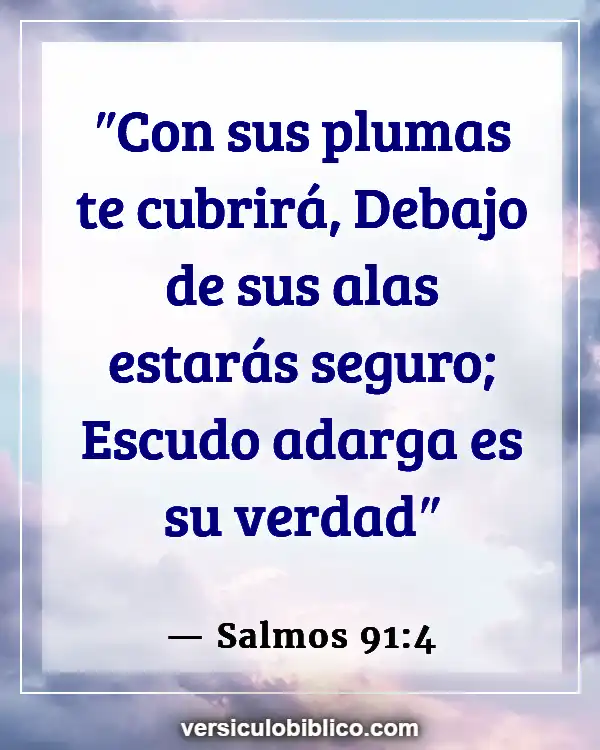 Versículos De La Biblia sobre Tocando fondo (Salmos 91:4)