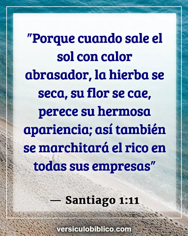 Versículos De La Biblia sobre Siguiendo las reglas (Santiago 1:11)