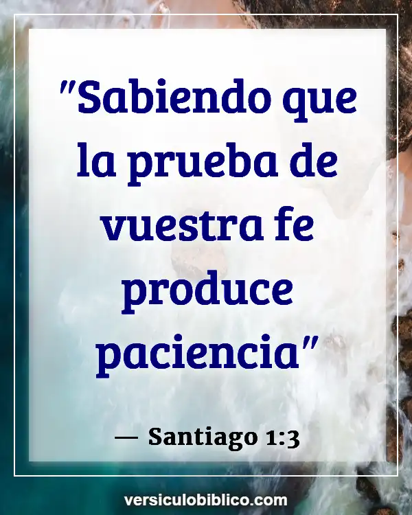 Versículos De La Biblia sobre Perserverancia (Santiago 1:3)