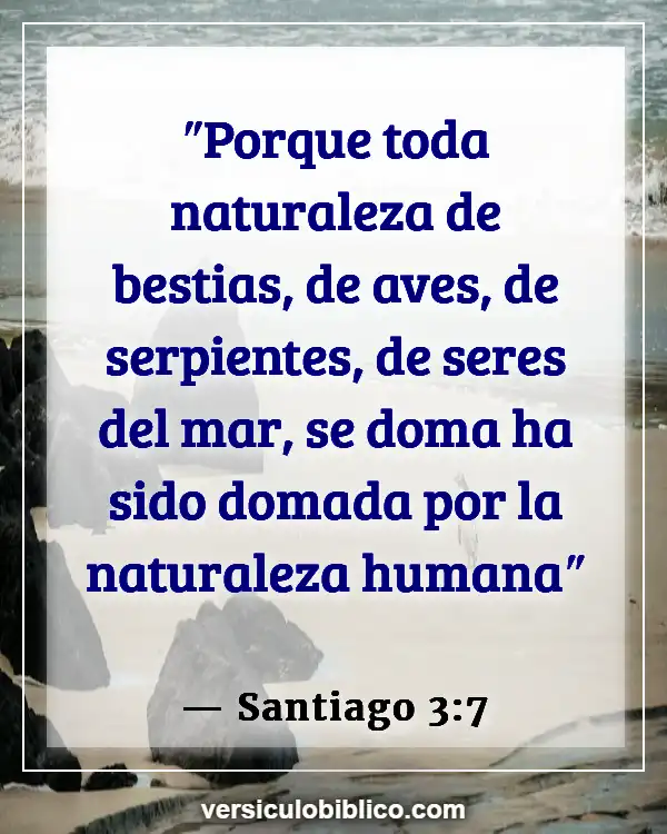 Versículos De La Biblia sobre Mascotas (Santiago 3:7)