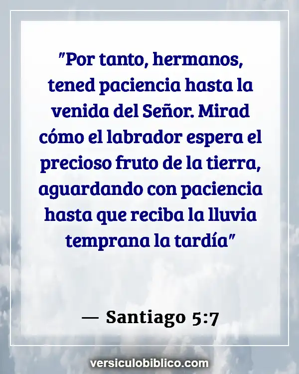 Versículos De La Biblia sobre Tiempo de cosecha (Santiago 5:7)