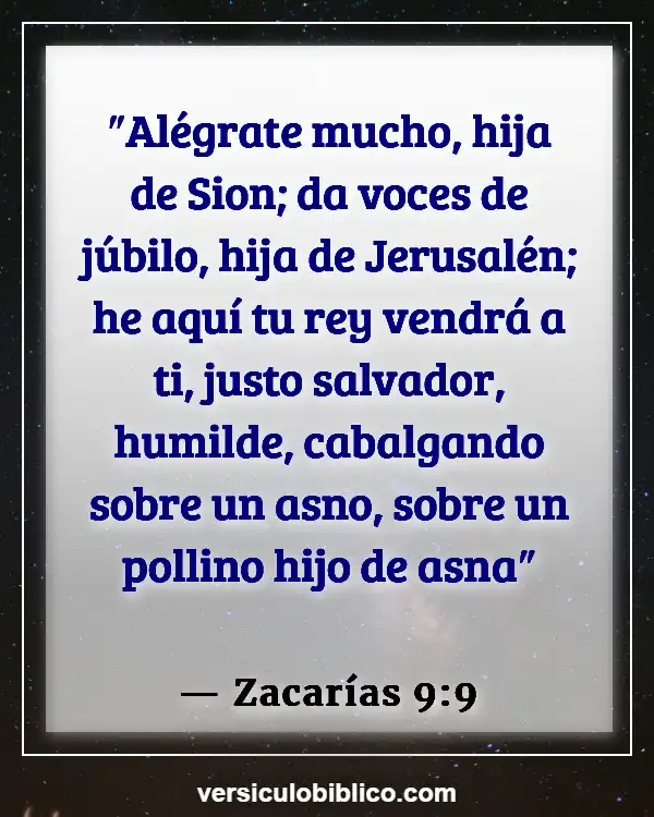 Versículos De La Biblia sobre Vencedores (Zacarías 9:9)